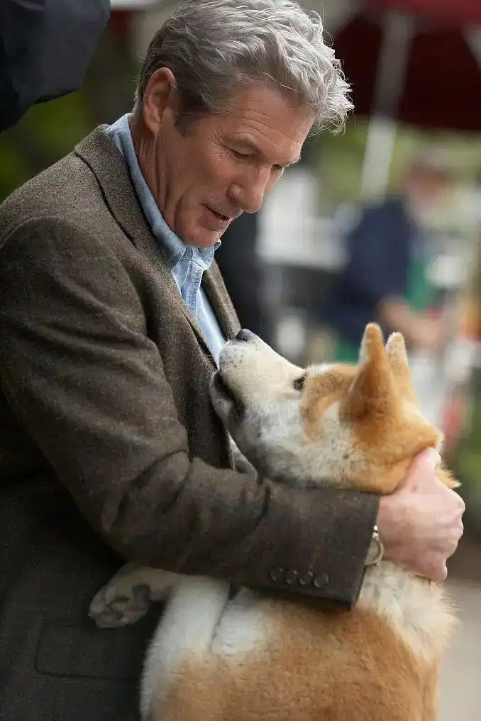 忠犬八公的故事 影视资源 | 和风次元